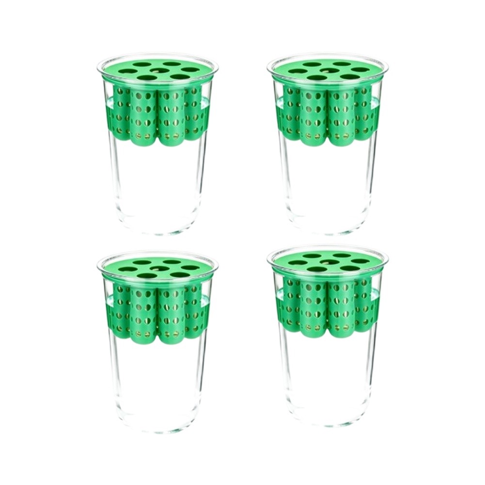 Kits de germinación de cebolla - Hydroponic Kit reseña y precio
