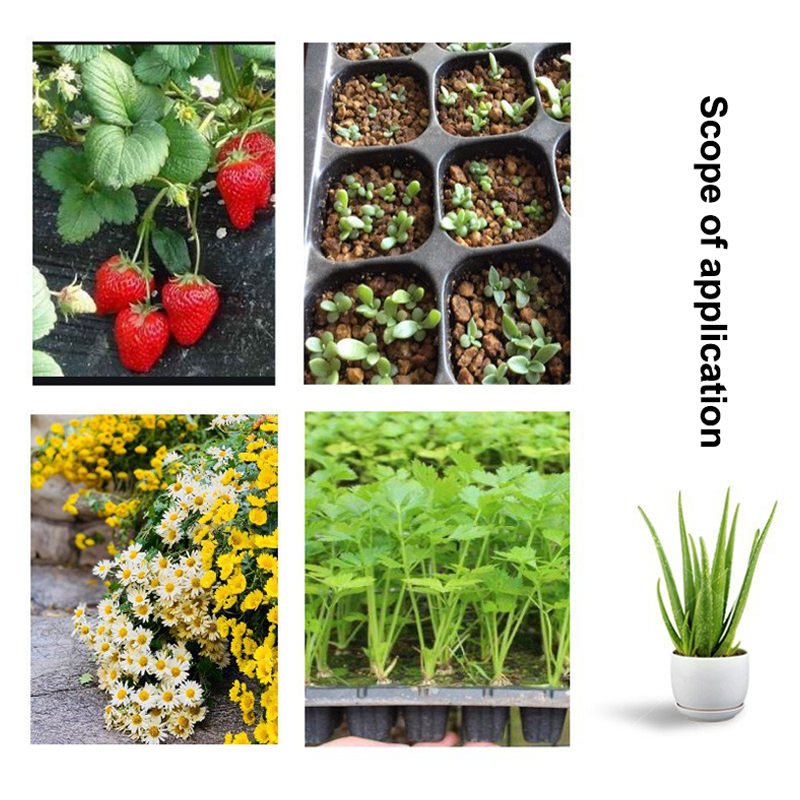 Bandejas de germinación de plá - Seed Starter Tray reseña y precio