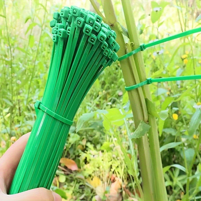 100 piezas de bridas para jard - Plant Pot reseña y precio