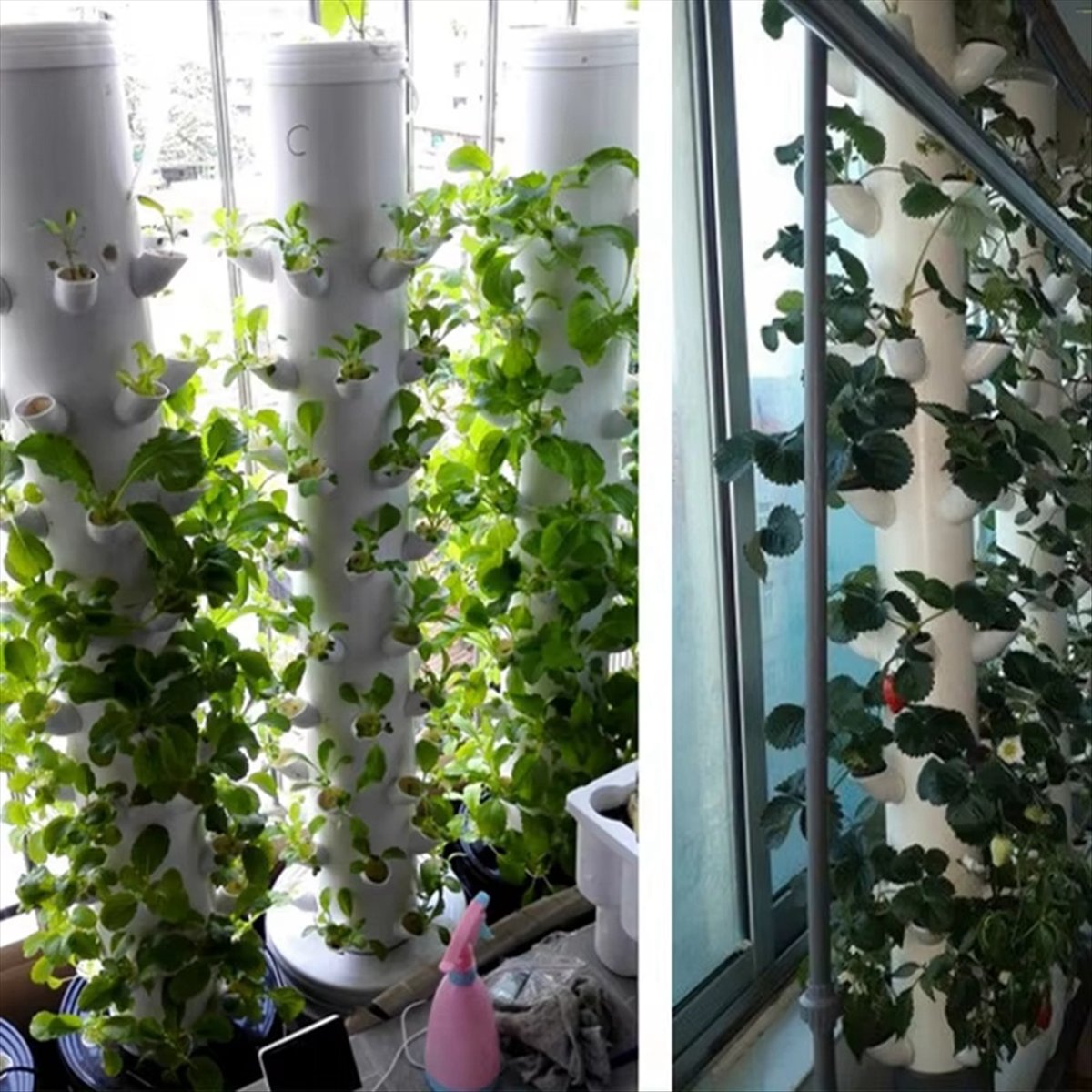 Contenedor Vertical Hidropónic - Plant Pot reseña y precio