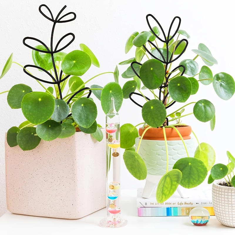 Marco de soporte para plantas, - Indoor Herb Garden reseña y precio