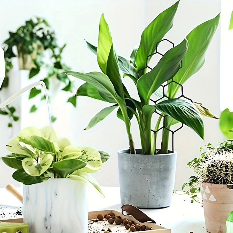 Marco de soporte para plantas, - Indoor Herb Garden reseña y precio
