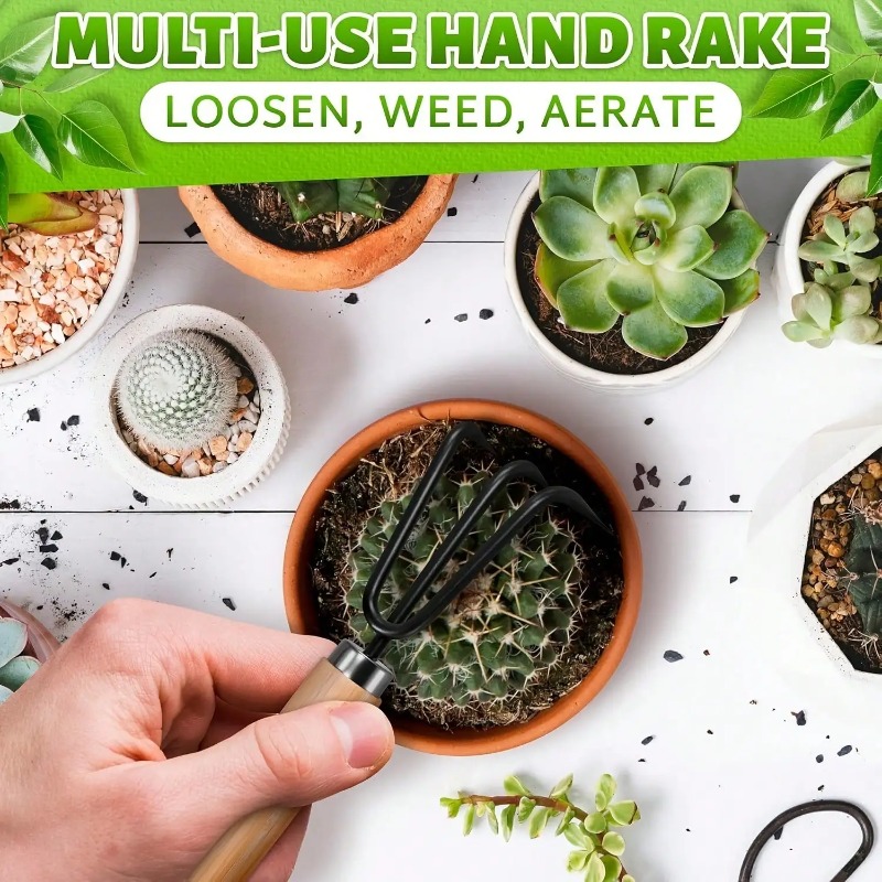 Juego de 3 Piezas/1 Set de Her - Indoor Herb Garden reseña y precio