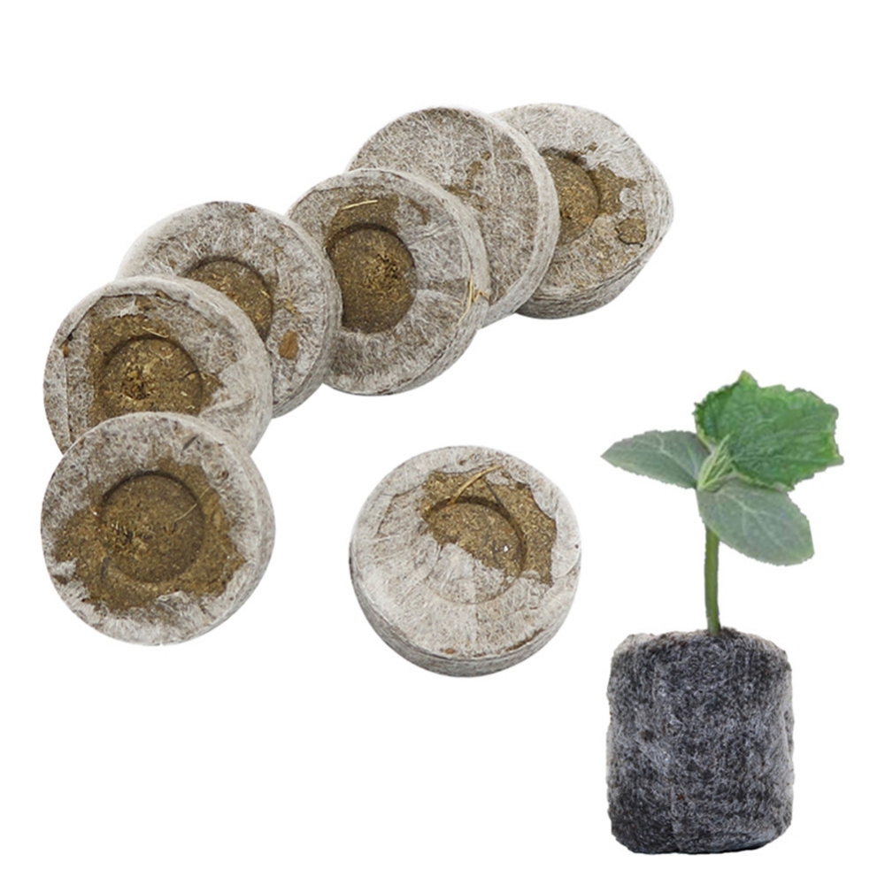 Kit de caja de vivero biodegra - Seed Starter Tray reseña y precio