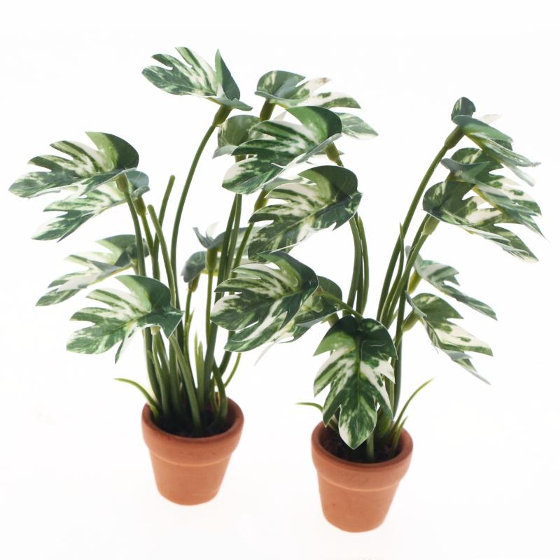 Nuevo. 1 unidad. Planta verde  - Plant Pot reseña y precio