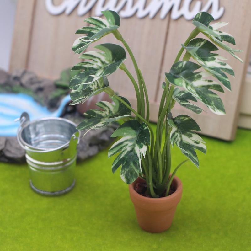 Nuevo. 1 unidad. Planta verde  - Plant Pot reseña y precio