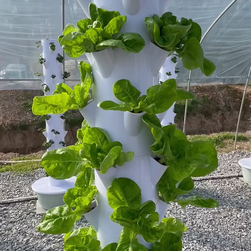 Con luz Led para cultivo, árbo - Plant Pot reseña y precio
