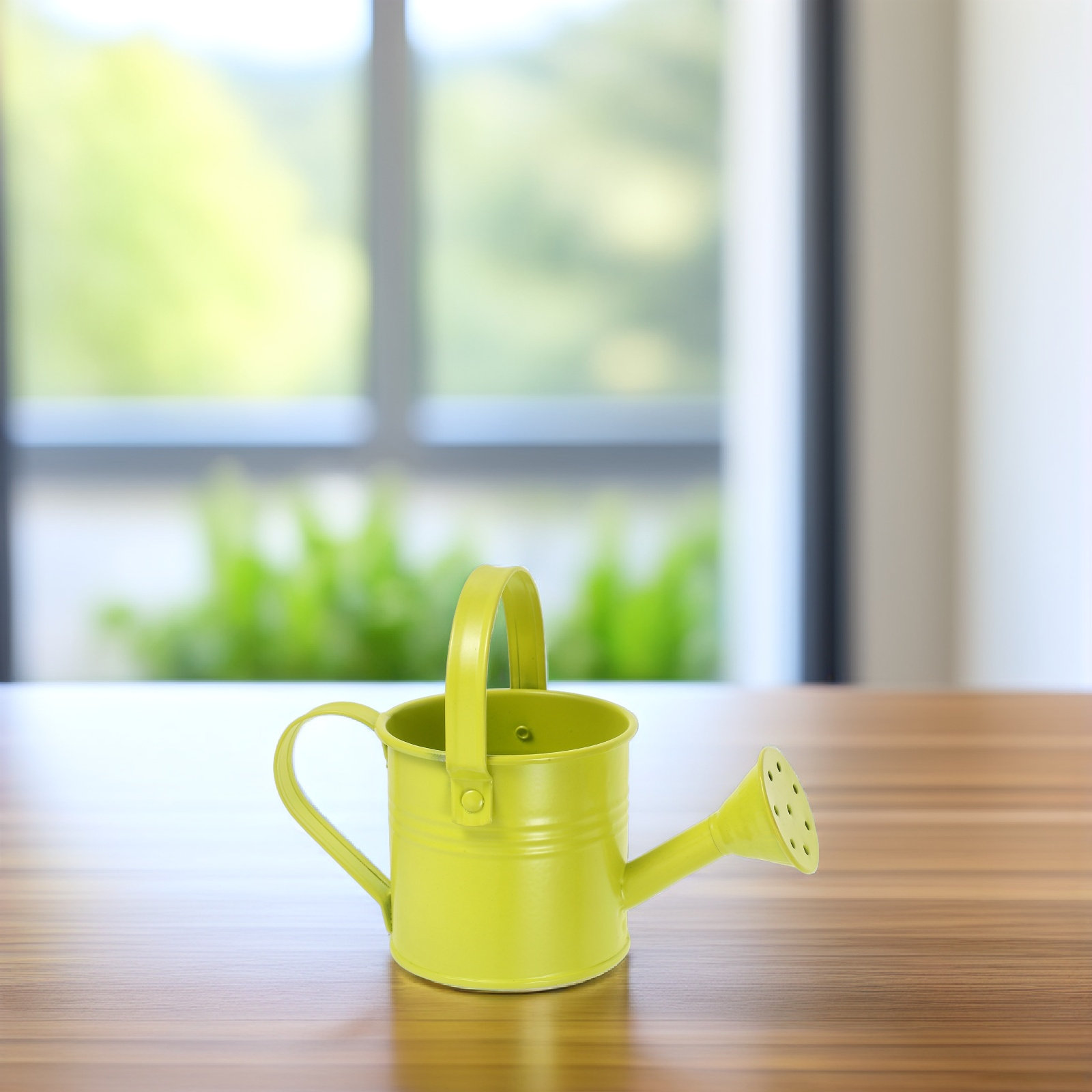 Pequeña regadera de metal galv - Watering Can reseña y precio