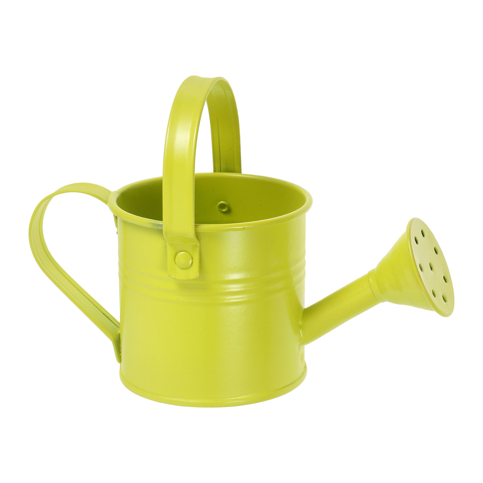 Pequeña regadera de metal galv - Watering Can reseña y precio