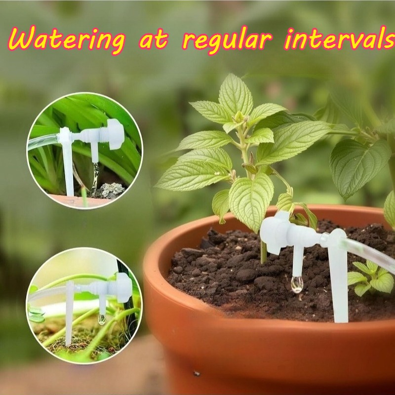Equipo de Riego Automático, Te - Watering Can reseña y precio