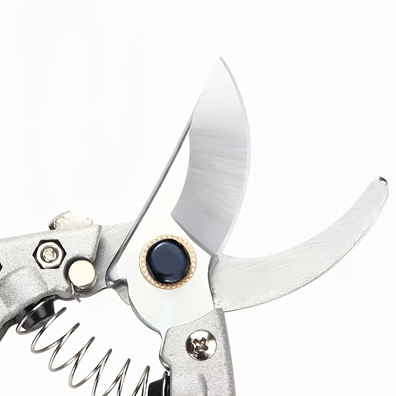 Tijeras de podar que ahorran e - Pruning Shears reseña y precio