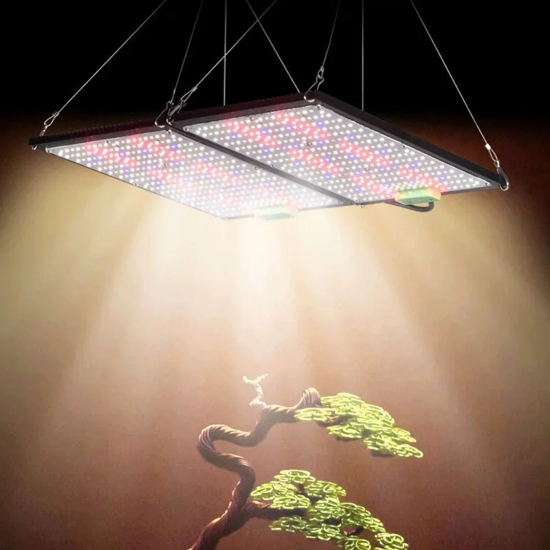 Lámpara de Cultivo LED Quantum - Grow Light Led reseña y precio