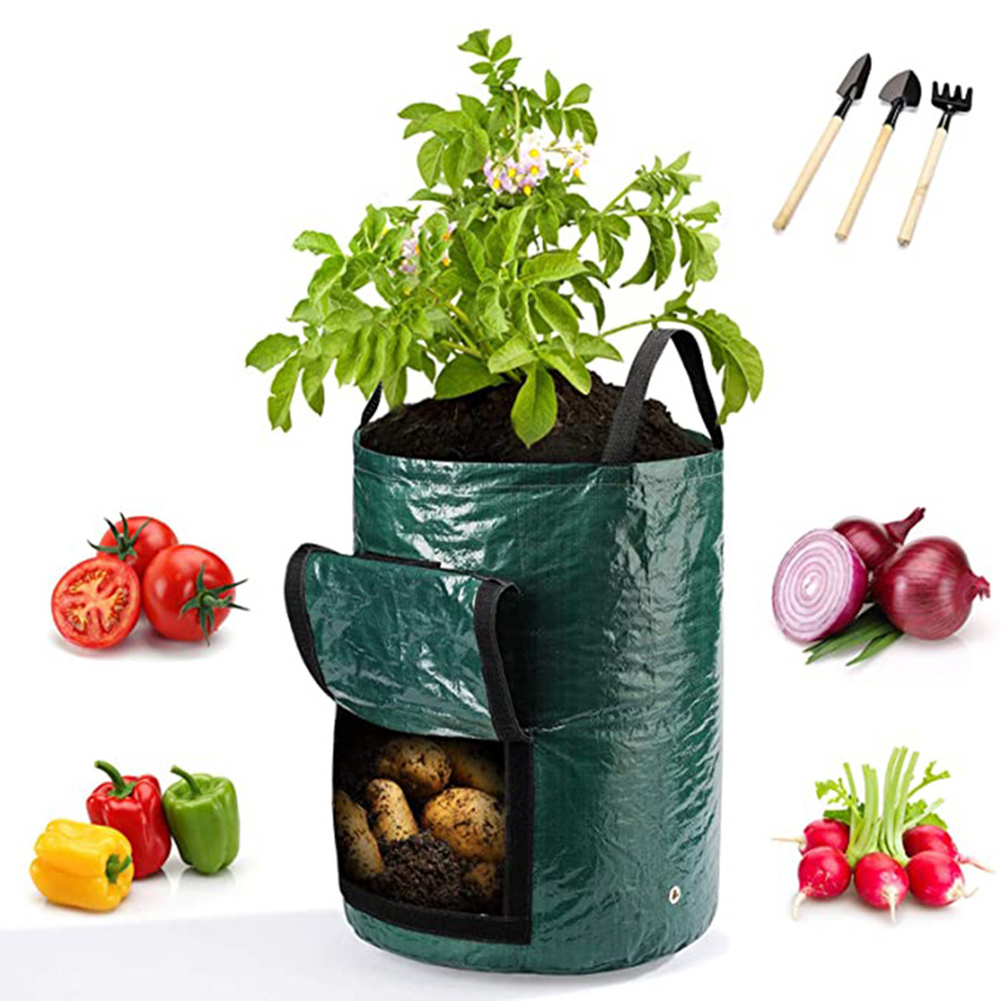 Bolsas de cultivo de 10 galone - Grow Bag reseña y precio